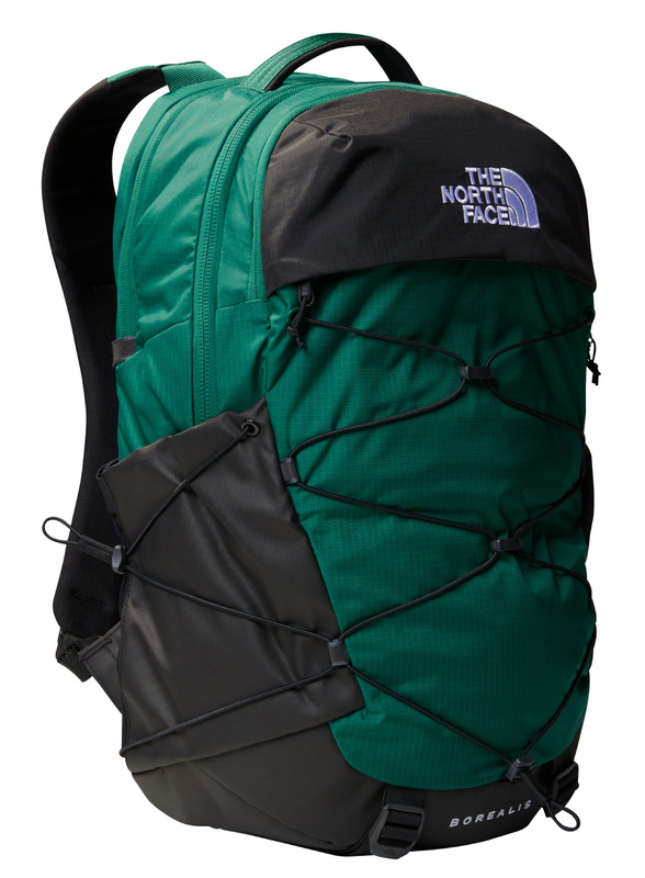 evergreen / tnf black