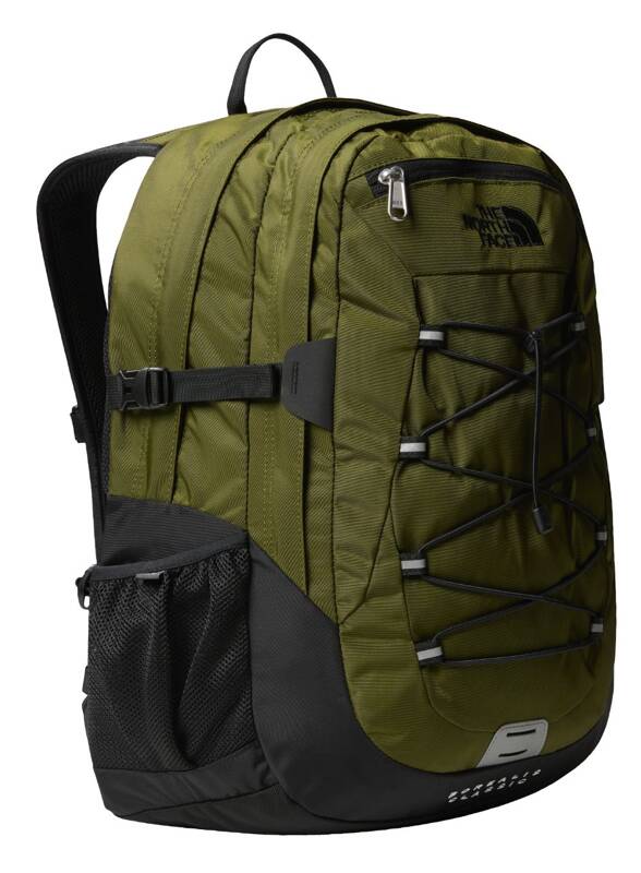 forest olive / tnf black