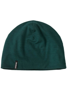 Czapka Patagonia Overlook Merino Wool Liner Beanie - cascade green