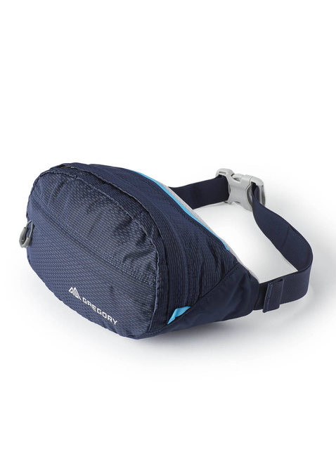 Saszetka biodrowa / nerka Gregory Nano 3,5 - bright navy