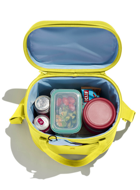 Torba izolowana Hydro Flask Carry Out Soft Cooler 20 l - cactus