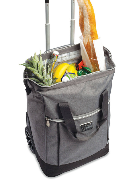Torba na kółkach na piknik Punta Big Wheel 40 l - titanium gray