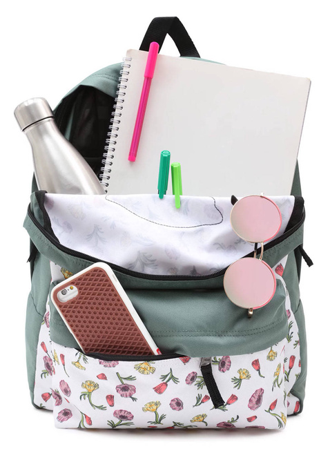 Plecak codzienny Vans Realm 22 l - ditsy poppy floral marshmallow / duck green