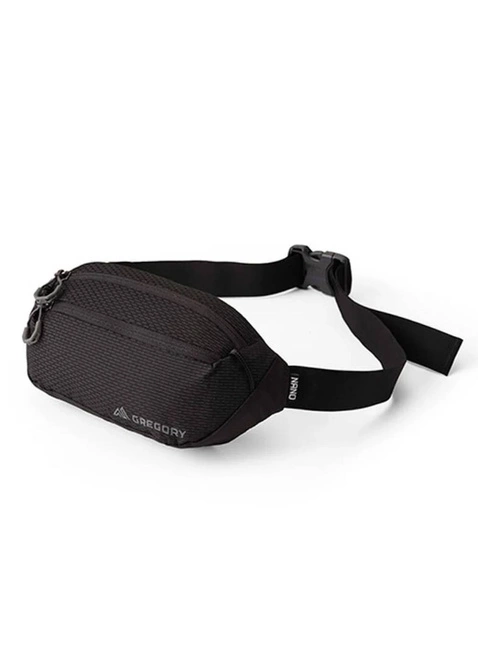 Saszetka biodrowa nerka Gregory Nano Waistpack Mini 3 l - optic black