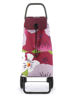 Wózek na zakupy 2 kołowy Rolser I-Max Taku - bassi