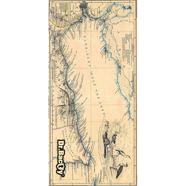 Ręcznik antybakteryjny Dr. Bacty L