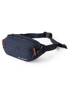 Torba biodrowa nerka Gregory Nano Waistpack 4 - spark navy