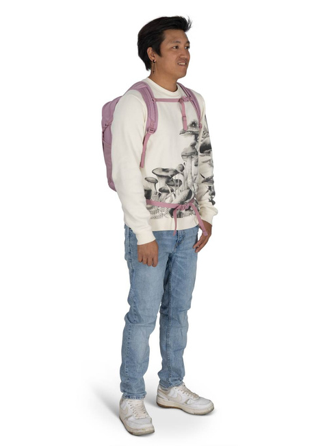 Plecak codzienny Osprey Daylite - iris pink