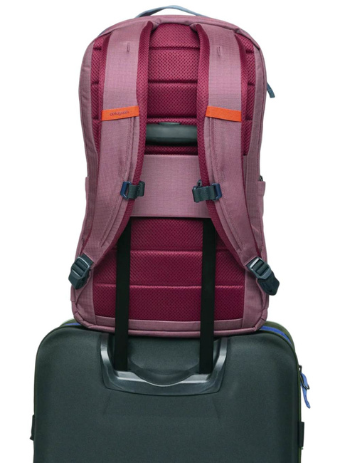 Plecak miejski Cotopaxi Allpa Daypack 26 l - fig