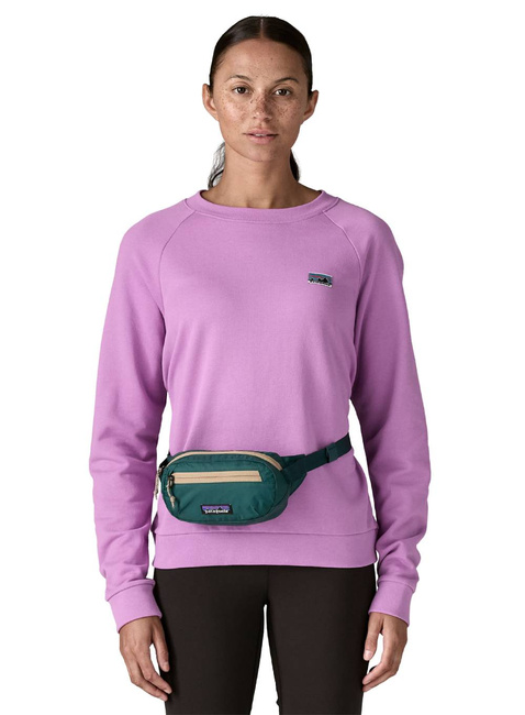 Torba biodrowa Patagonia Terravia Mini Hip Pack - cascade green