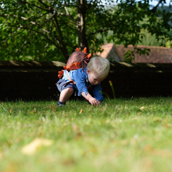 Plecak dla maluszka LittleLife Animal Pack - Dinozaur Spike