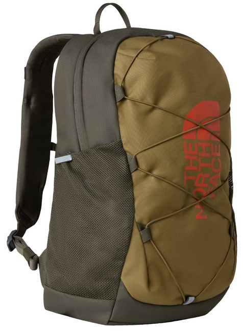 Plecak młodzieżowy The North Face Youth Court Jester - cedar / new taupe green / lava red