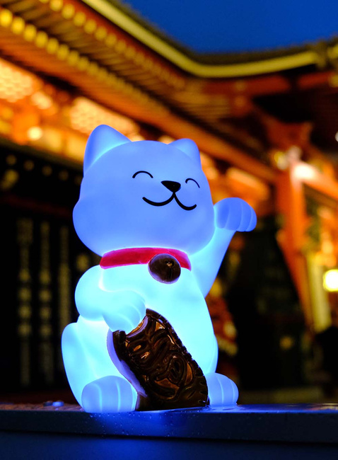 Lampka nocna na baterie Dhink Lucky Cat - snow white