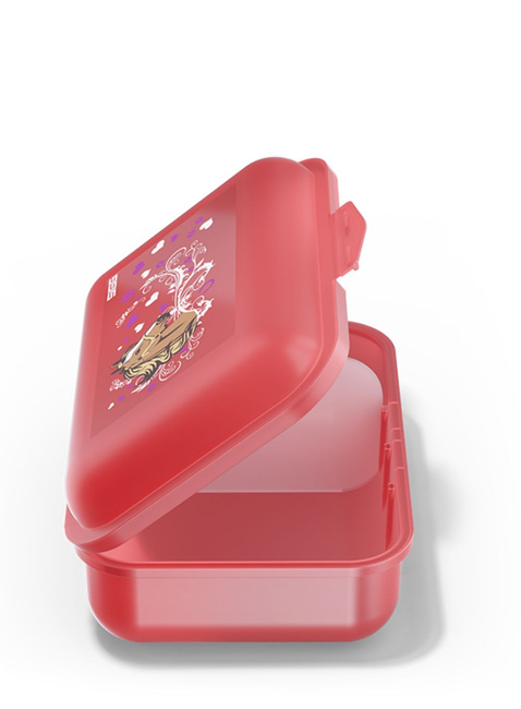 Zestaw lunchbox + butelka Sigg Set Viva Kids - horses