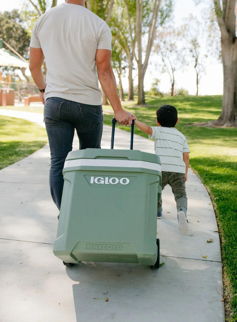 Lodówka turystyczna Igloo ECOCOOL® Latitude Roller 58 l - green