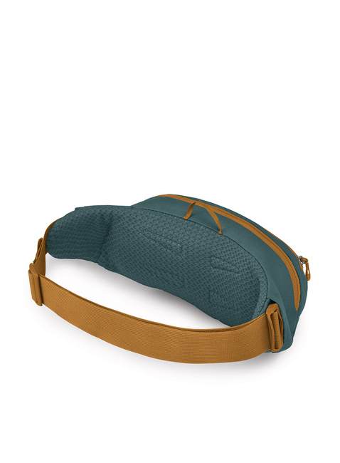 Torba biodrowa Osprey Daylite Waist - torrent blue