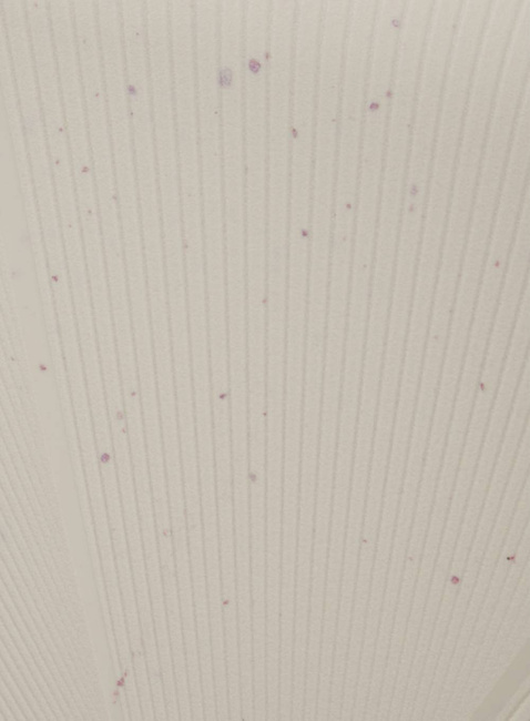 Walizka średnia American Tourister StarVibe EXP - cream speckles