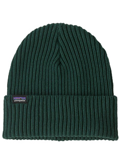 Czapka unisex Patagonia Fisherman's Rolled Beanie - cascade green