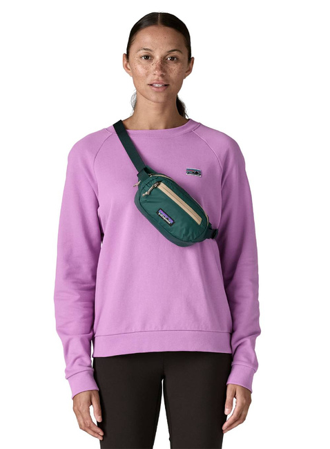 Torba biodrowa Patagonia Terravia Mini Hip Pack - cascade green