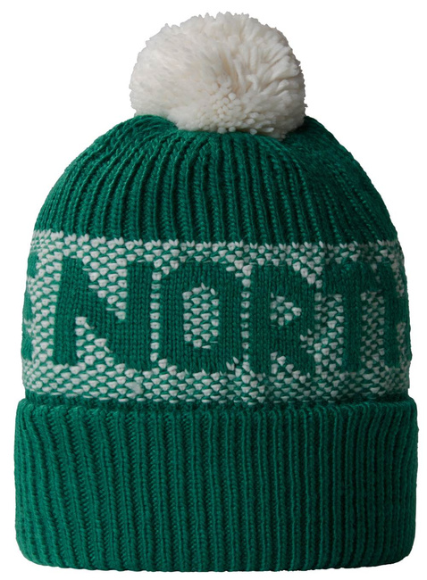 Czapka zimowa The North Face Retro Cabin Beanie - evergreen / white dune