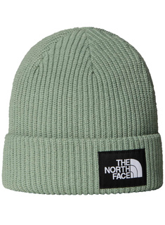 Czapka zimowa The North Face Salty Lined Beanie - slate moss