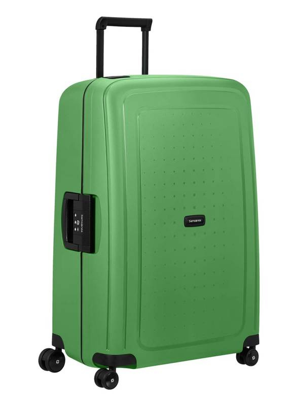 cactus green/black
