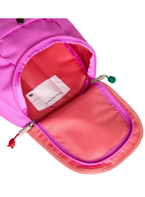 Plecak dziecięcy The North Face Youth Mini Explorer Backpack - violet crocus / fuchsia flash