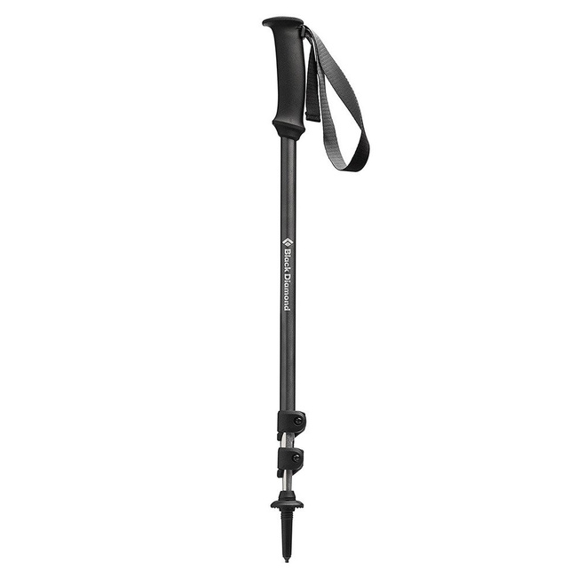 Kije trekkingowe Black Diamond Trail Explorer 3 - anthracite