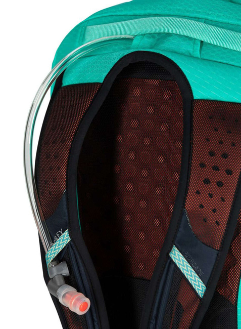 Plecak miejski podróżny Osprey Comet 30 - atlas blue heather