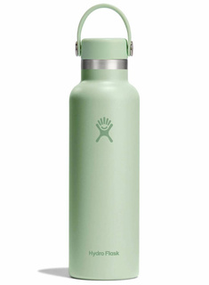 Butelka termiczna Hydro Flask Standard Mouth Flex Cap 621 ml - aloe