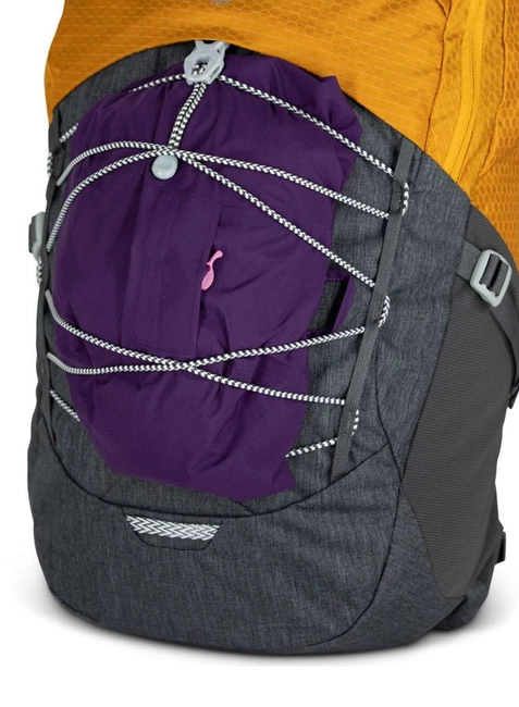 Plecak miejski Osprey Quasar 26 - reverie green / cetacean blue
