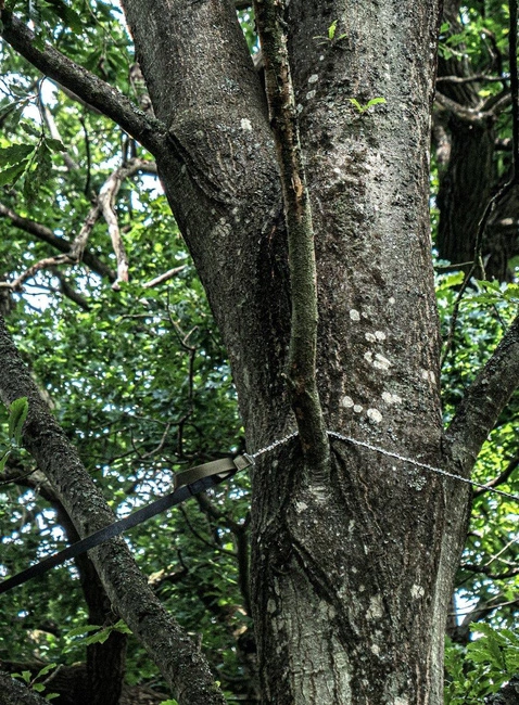 Zestaw z piłą łańcuchową Nordic Pocket Saw Arborist