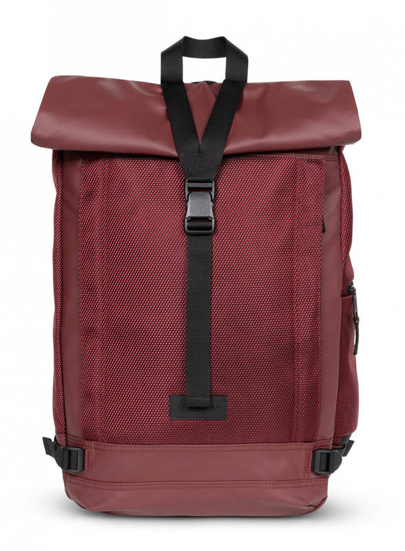 cnnct burgundy
