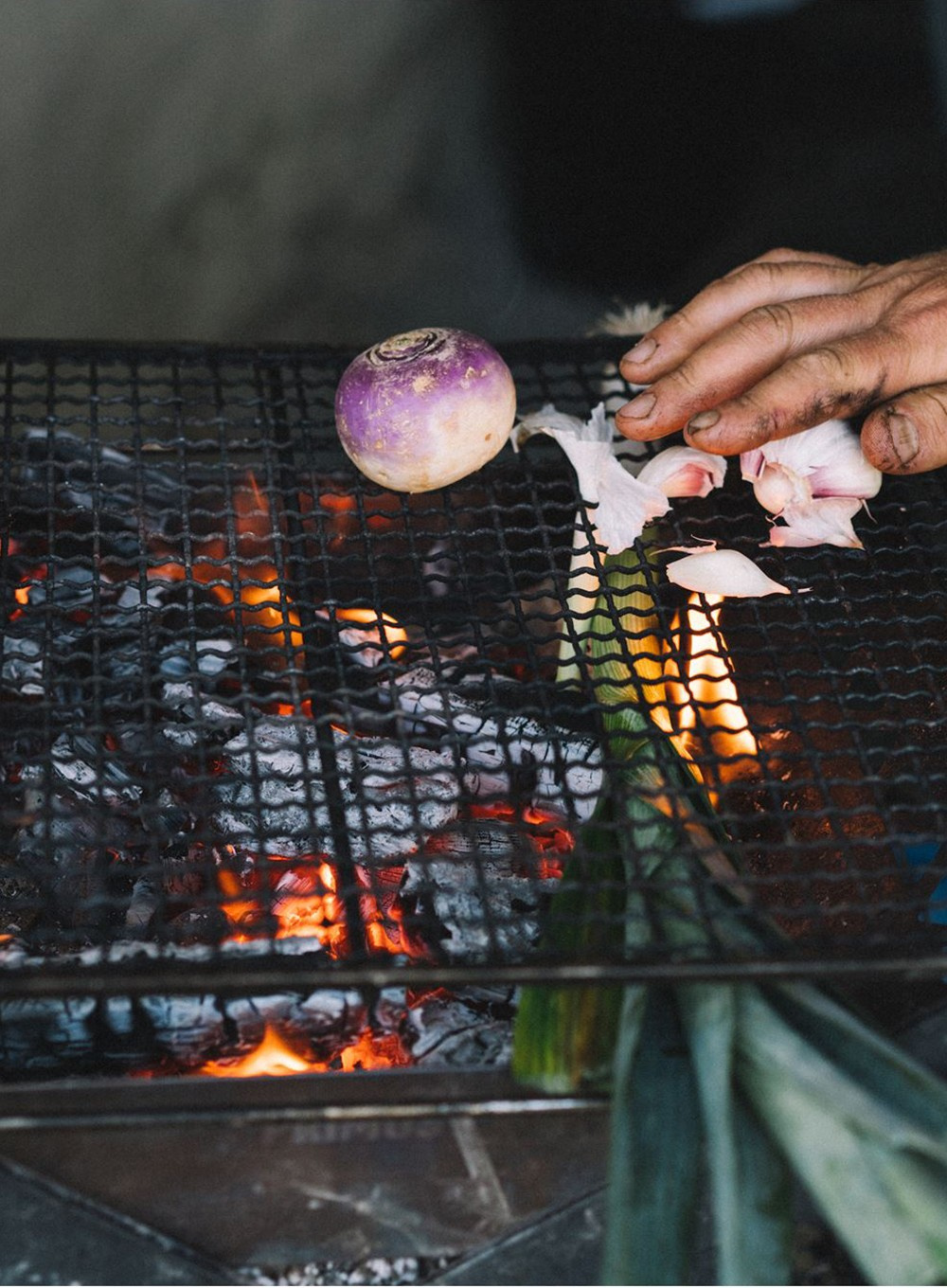 Grill turystyczny Primus Kamoto Largel OpenFire Pit 738061 Equip.pl