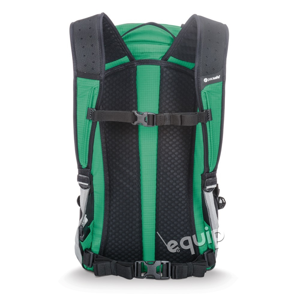 Pacsafe venturesafe hotsell x22 pack