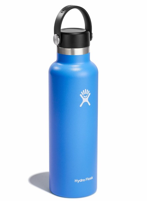 Butelka termiczna Hydro Flask Standard Mouth Flex Cap 621 ml - cascade