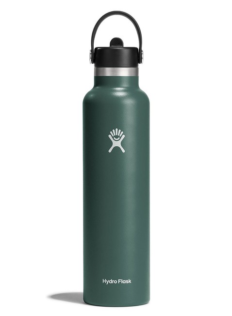 Butelka termiczna ze słomką Hydro Flask SM Flex Straw Cap 0,621 l - fir