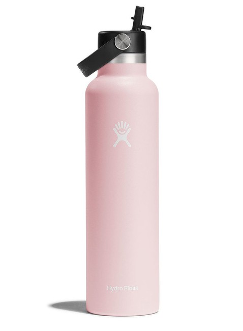 Butelka termiczna ze słomką Hydro Flask SM Flex Straw Cap 0,621 l - trillium