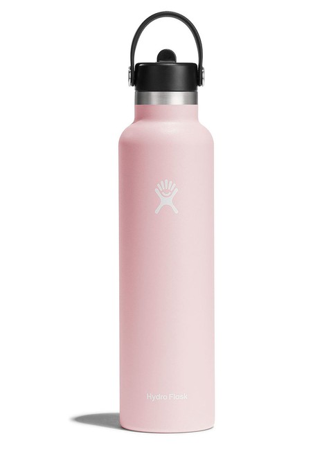 Butelka termiczna ze słomką Hydro Flask SM Flex Straw Cap 0,621 l - trillium