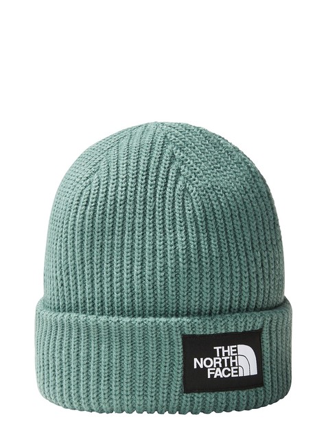 Czapka zimowa The North Face Salty Dog Beanie Regular - dark sage