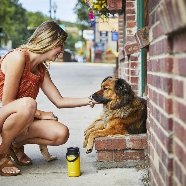 Kubek termiczny na kawę 354 ml z Flex Sip Lid Hydro Flask - pacific