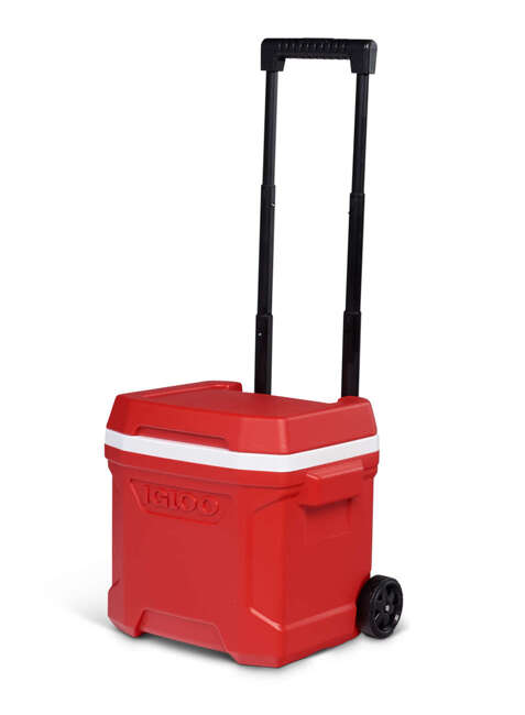 Lodówka turystyczna Igloo Profile II Roller 15 l - red star