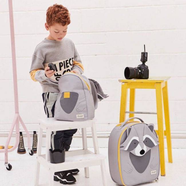 Plecaczek dziecięcy Samsonite Happy Sammies ECO S+ - raccoon Remy