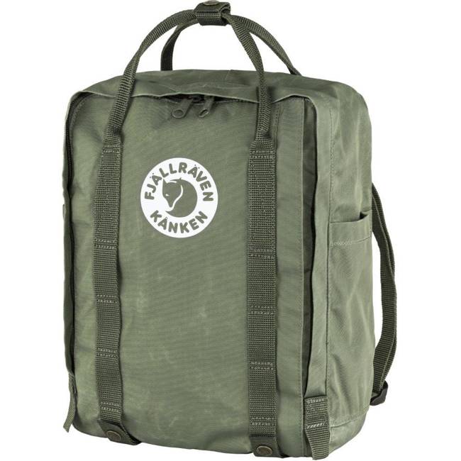 Plecak Fjallraven Tree-Kanken - lichen green 