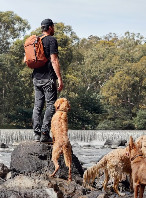 Plecak miejski Bellroy Venture Ready Pack 26 l - bronze