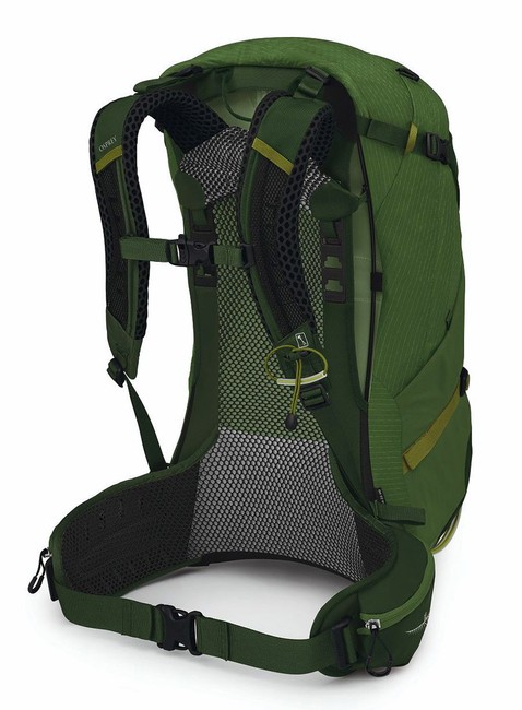 Plecak trekkingowy męski Osprey Stratos 34 - seaweed / matcha green