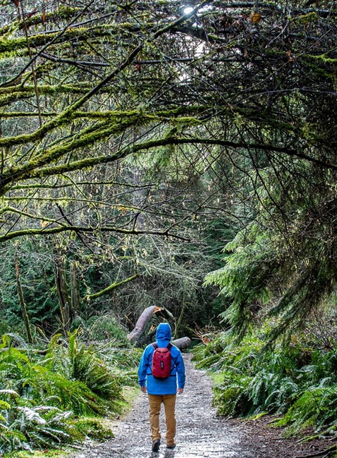 Plecak wodoodporny Exped Cloudburst 25 - forest