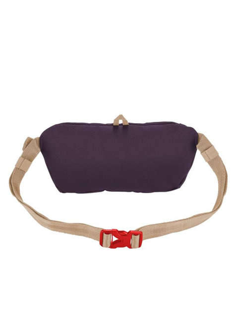 Torba biodrowa nerka Eagle Creek Stash Waist Bag - borealis